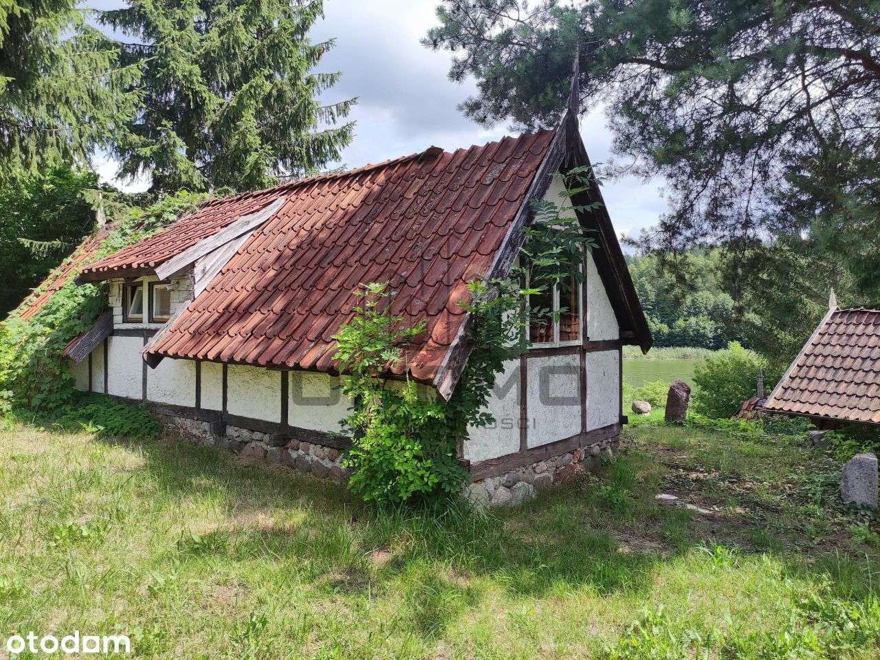 Bajkowe siedlisko z linią brzegową - Warmia i Mazu-7