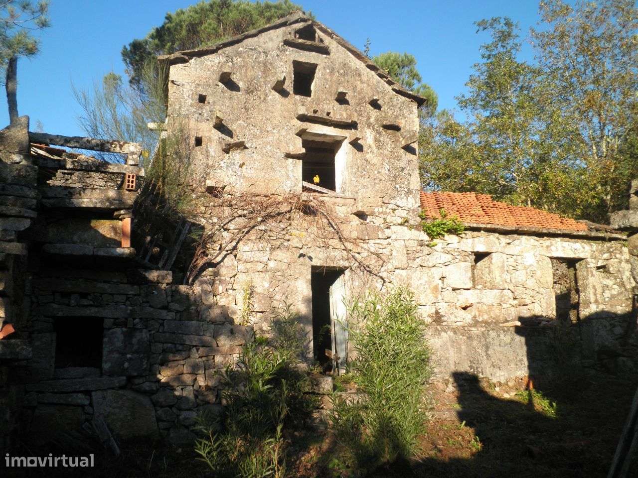 Quinta – Sever do Vouga - Grande imagem: 2/30
