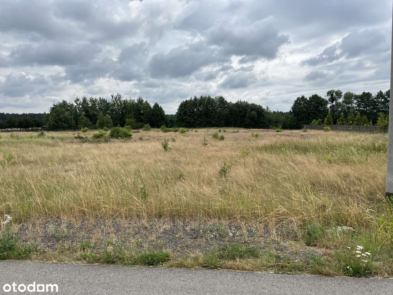 Dąbrowa gmina Przystajń dwie działki 1186 i 1188 m - Pełny obrazek: 5/7