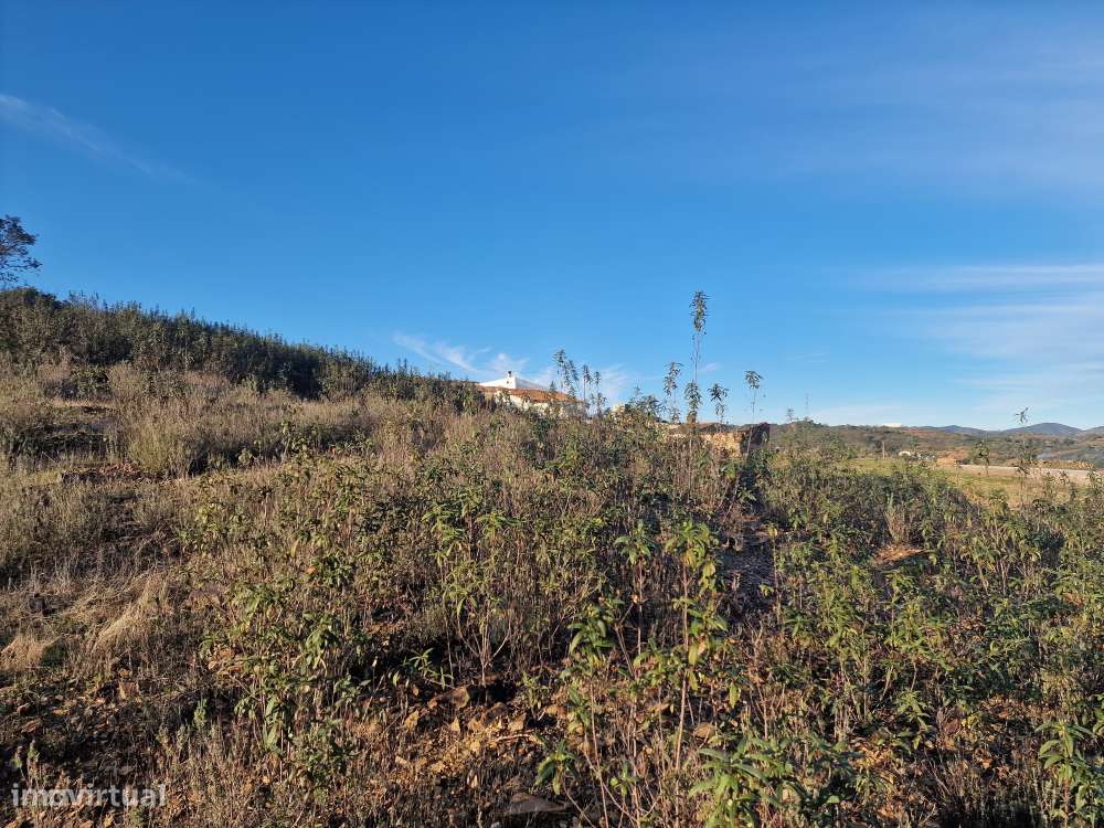 Terreno Rústico - Vale Figueira, Messines-9