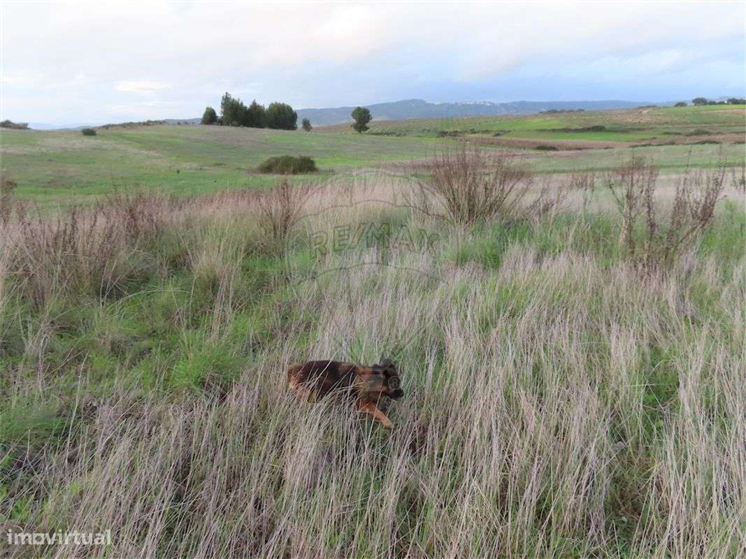 Quinta T0 para venda - Grande imagem: 5/21