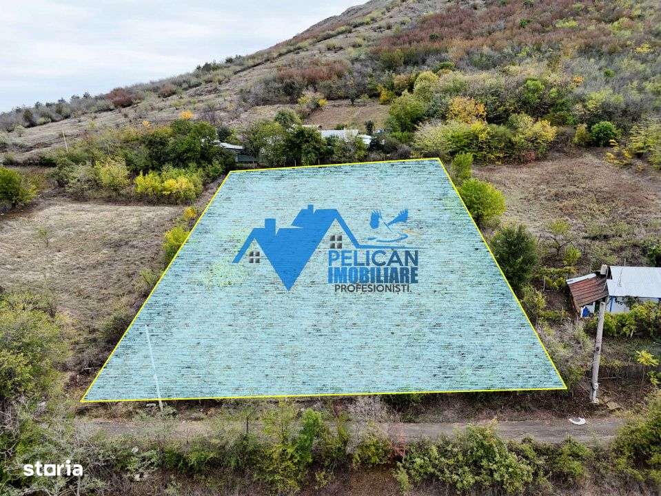 Teren intravilan NICULITEL, zona deosebita, 3044MP-11