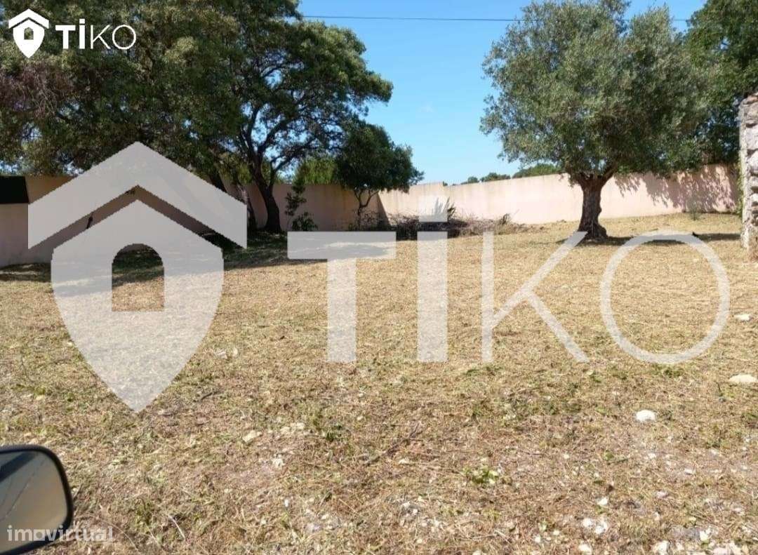 TERRENO 100% URBANO EM TORRES NOVAS - Grande imagem: 5/29