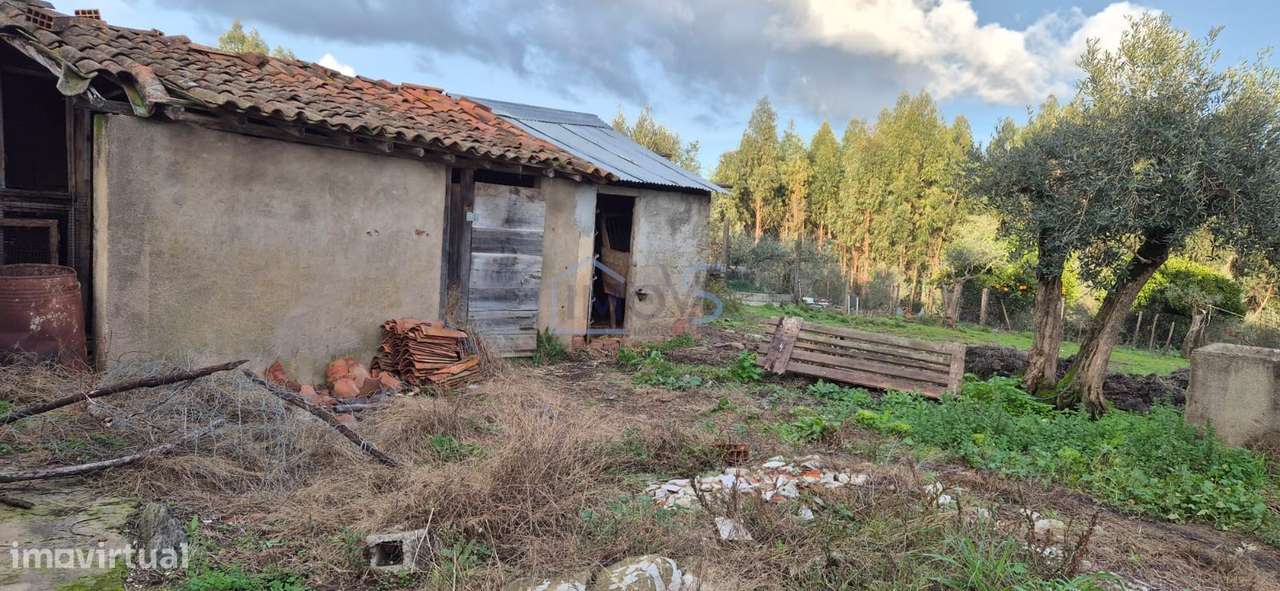 Moradia T2 para Recuperar com Terreno de 4.080 m² | Ferreira do Zêzere-7