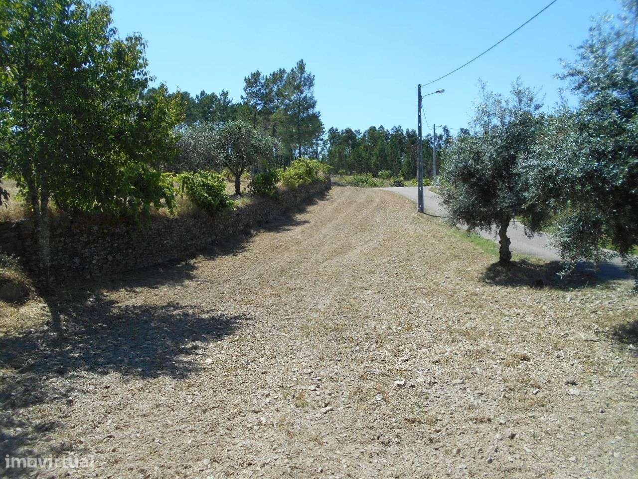 Quintinha - Grande imagem: 5/7