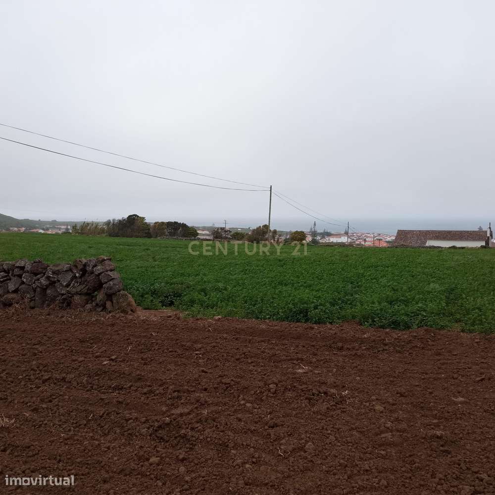 Excelente terreno com 9680 m2 em Santo Amaro - Santa Cruz da Graciosa - Grande imagem: 5/5