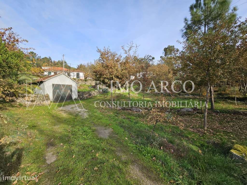 Terreno, Olival de Meanhos-8