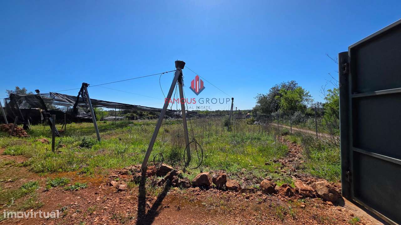 Excelente terreno rústico no concelho de Silves - Grande imagem: 4/43