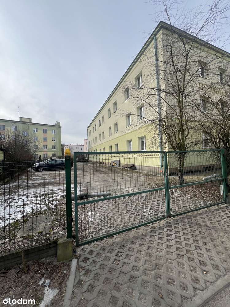 M-4, wysoki parter, 64 m2, os. Leśne-11