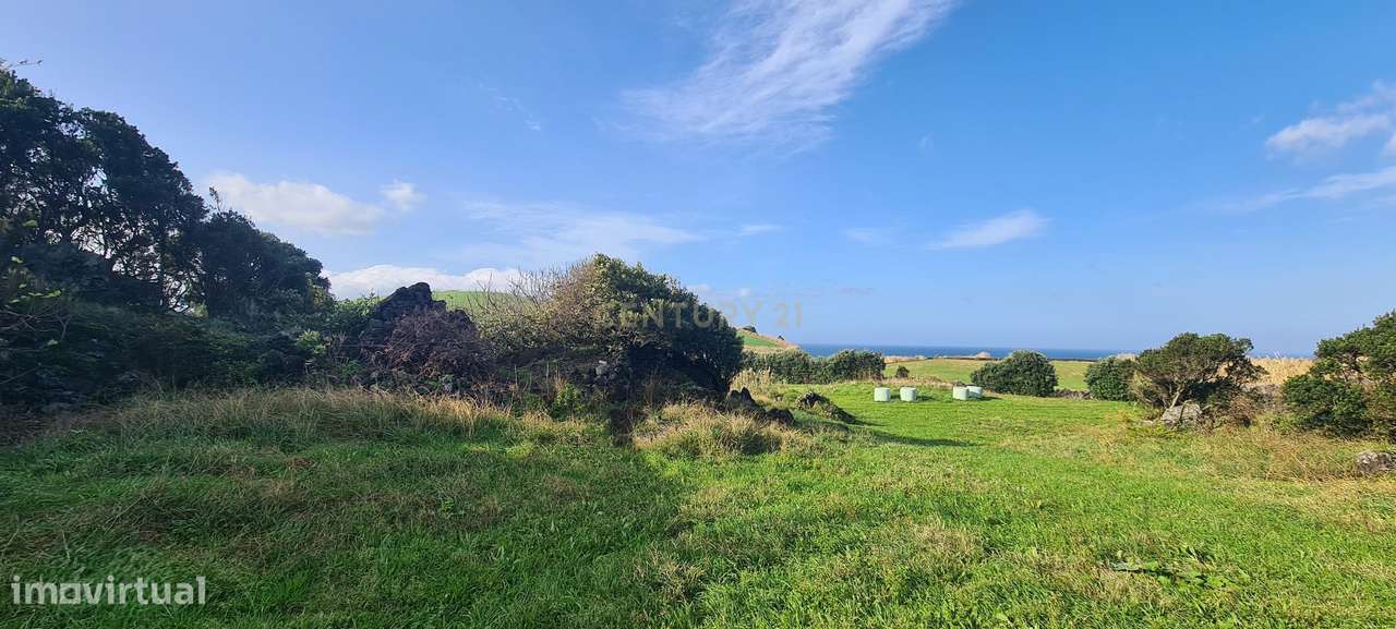 Terreno Rústico em Ribeira Grande com Jardim e Árvores Antigas-8