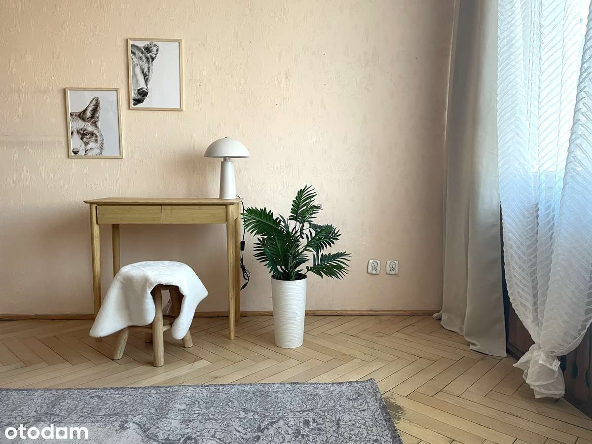 Dwa duże pokoje skąpane słońcem-4