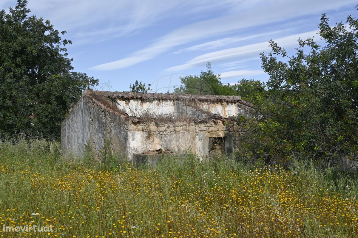 Terreno  para venda