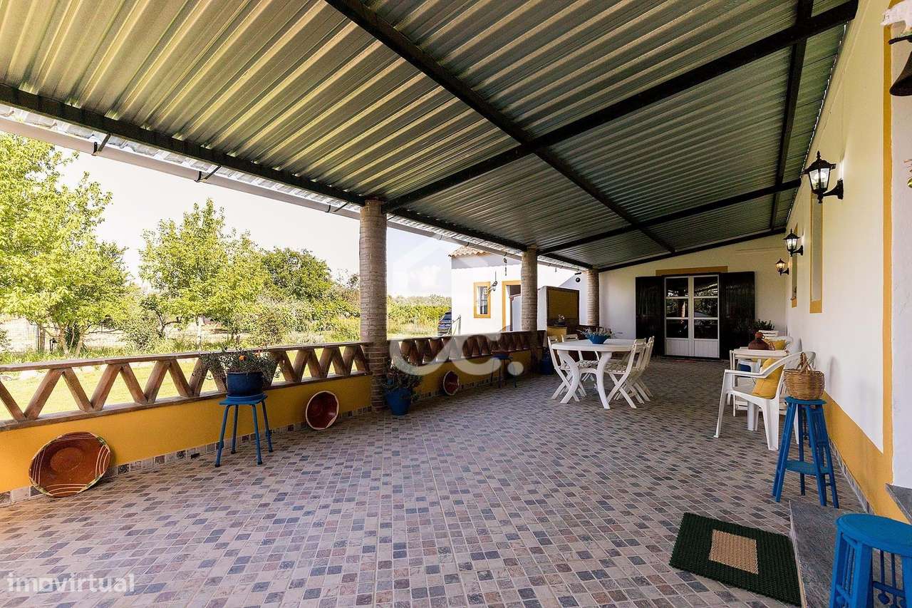 Quinta de 9250m2 c/ Moradia T4 térrea, anexo e armazém | Azaruja - Grande imagem: 3/60