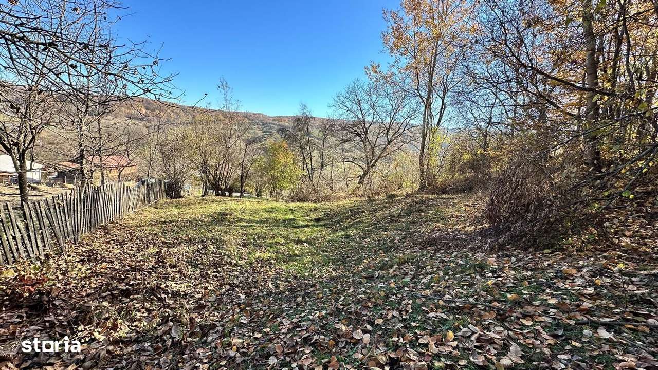 Teren 4044mp, 18 km de Campina, asfalt, utilitati, pretabil investitie - Imagine principală: 4/4