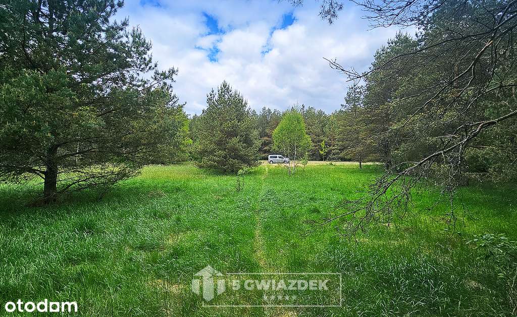 Piękna działka z leśniczowką, lasem,blisko jeziora - Pełny obrazek: 5/20