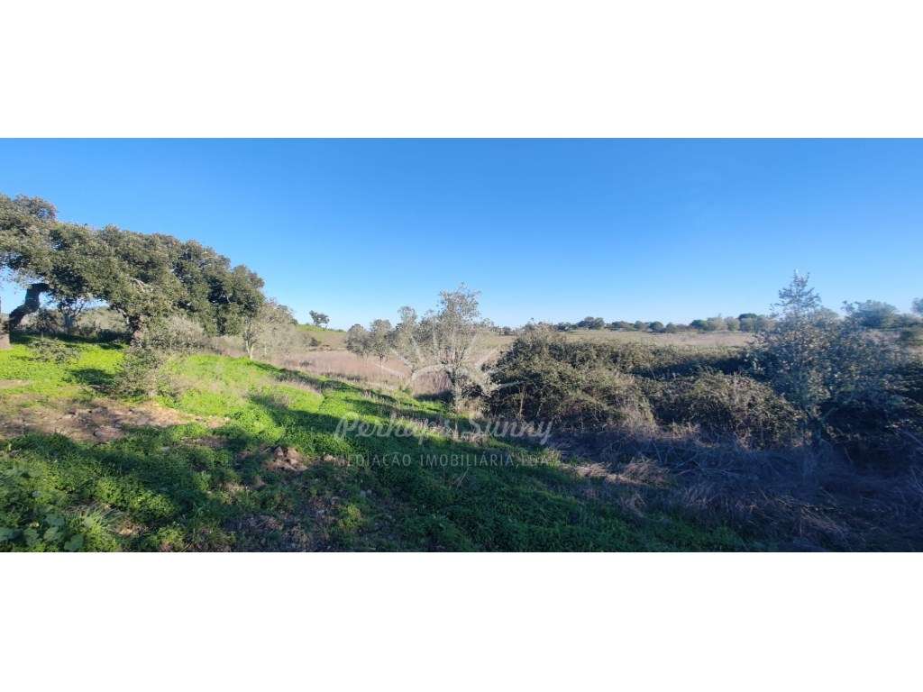 TERRENO RÚSTICO PARA VENDA - UMA OPORTUNIDADE NA SERRA DE GRÂNDOLA-15