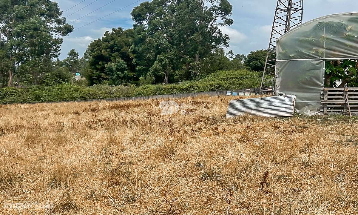 Lote de terreno 5000m² - Calendário - Grande imagem: 4/10