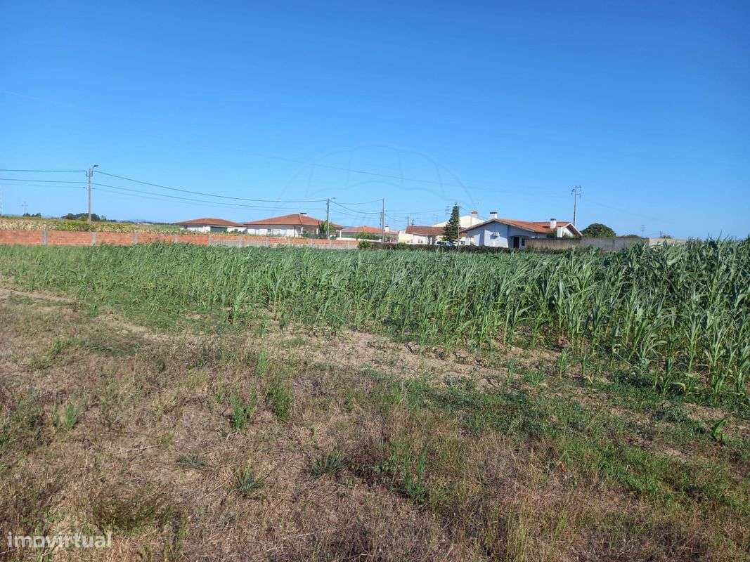 Terreno  para venda - Grande imagem: 5/7