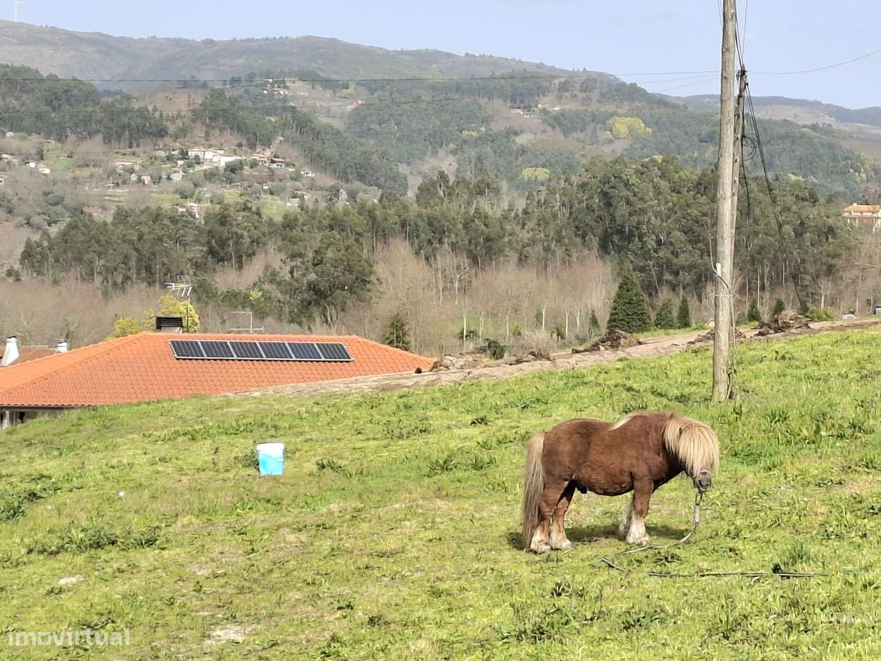 CONJUNTO DE 3 MORADIAS em Rossas, Vieira do Minho, Braga-18
