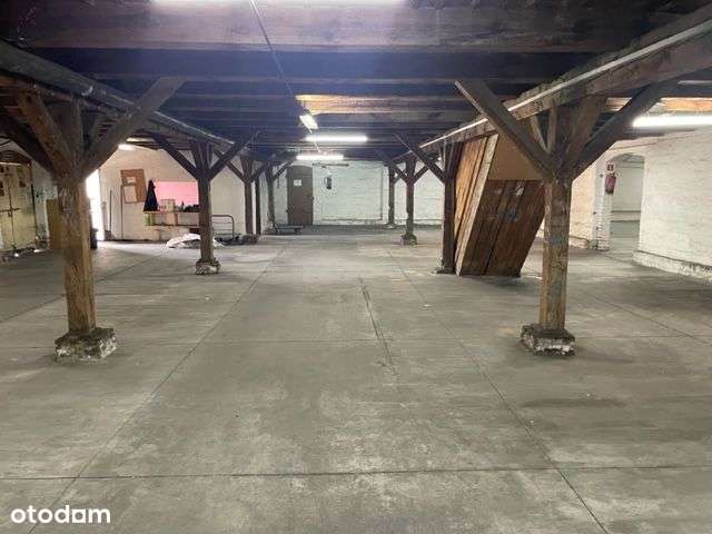 Magazyn 361m ,336m ,510m , plac - Pełny obrazek: 4/5