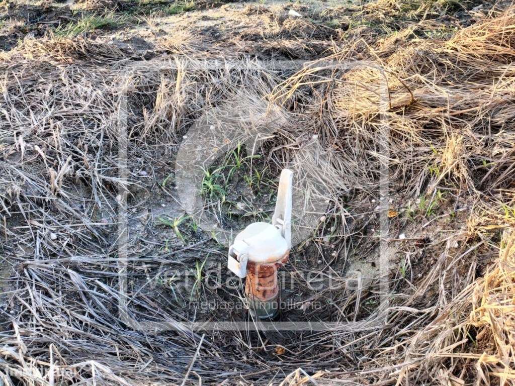 Terreno com 110.000 m2 junto à Nacional 10 - Com Armazém, Furo Lice...-9
