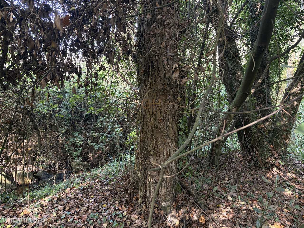 Terreno Para Construção  Venda em Mafamude e Vilar do Paraíso,Vila Nov-13