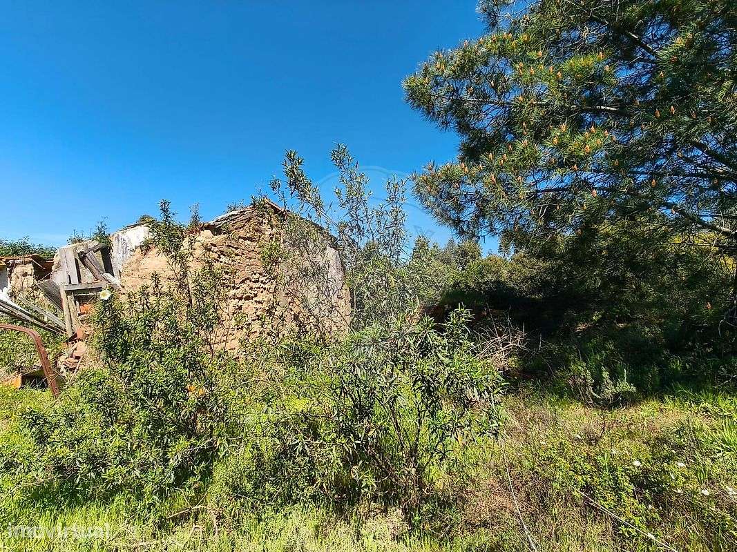 Terreno  para venda - Grande imagem: 4/19