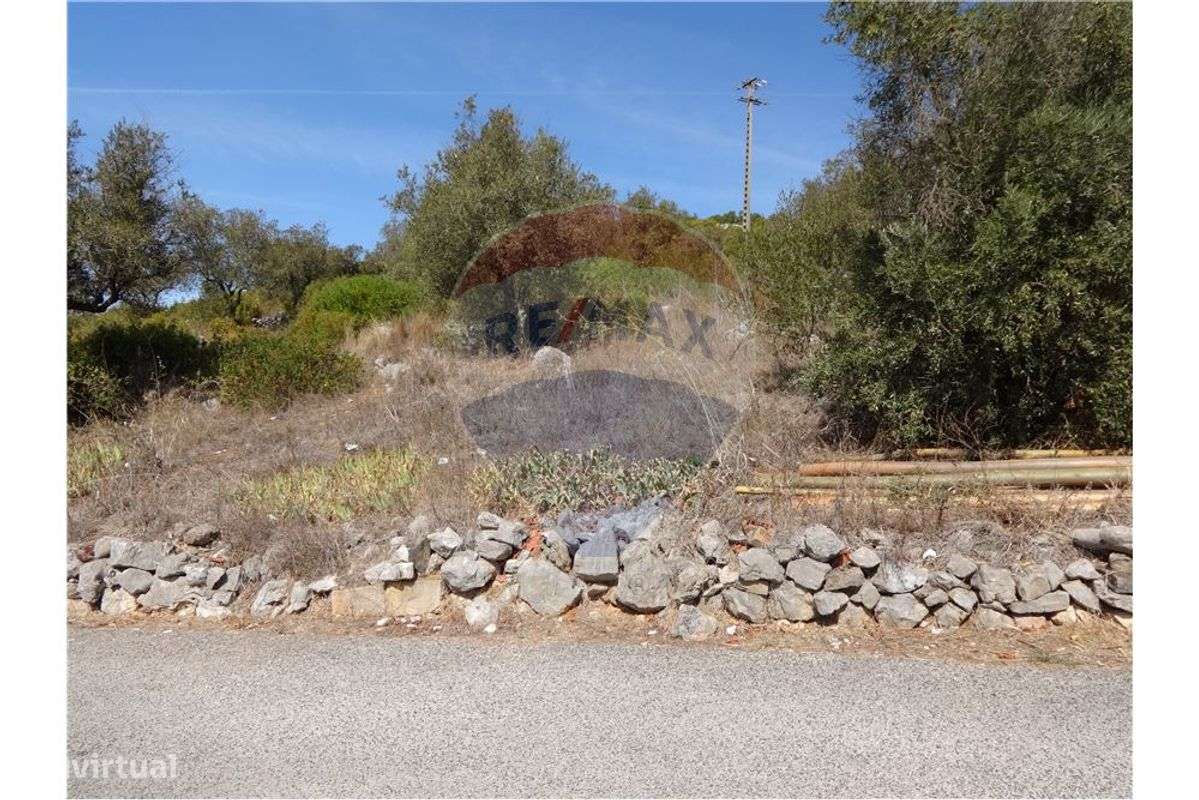 2 Lotes de terreno - Grande imagem: 3/11