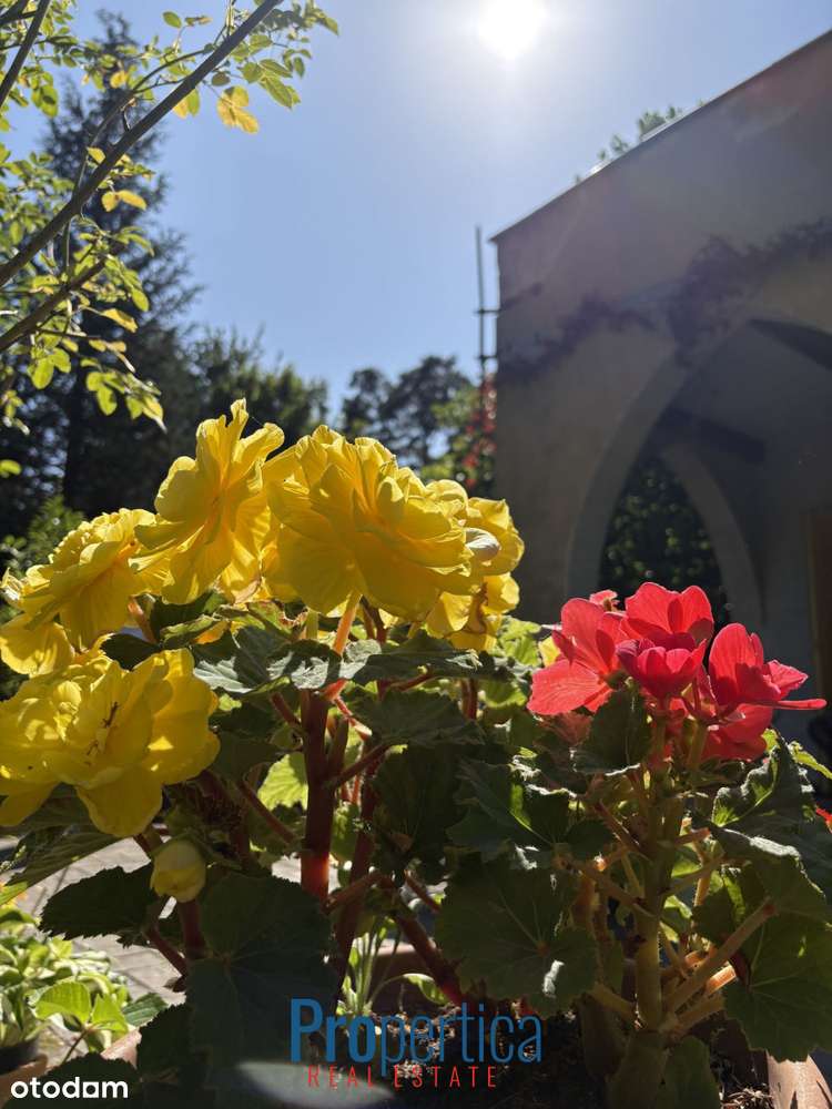 Piękny Ogród - działka w Konstancinie plus dom-4