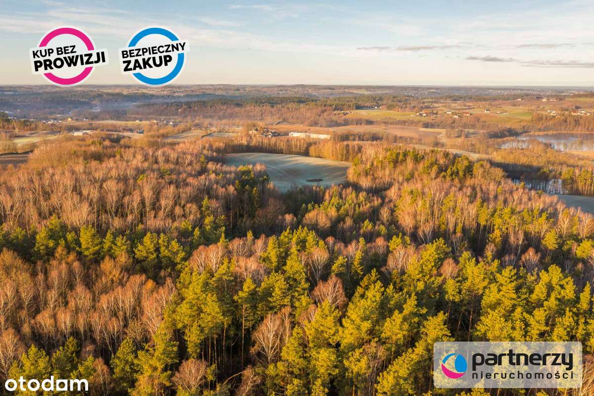 Działka pod Twoje siedlisko/ Stadninę koni! - Pełny obrazek: 5/15