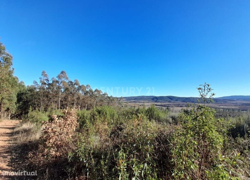 Terreno Agrícola 12Ha em Capinha, Fundão