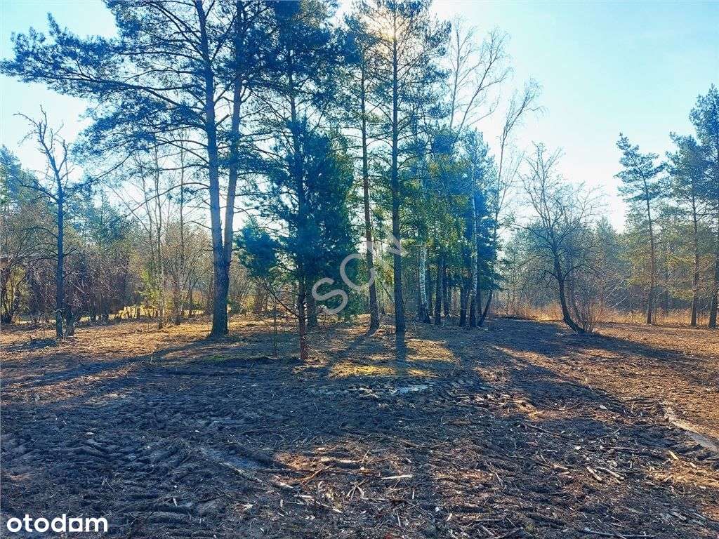 Józefow, Działka z Wz - Pełny obrazek: 3/6