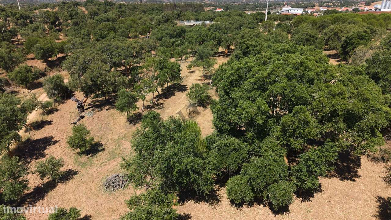 Monte Alentejano com propriedade de 13 HA-16