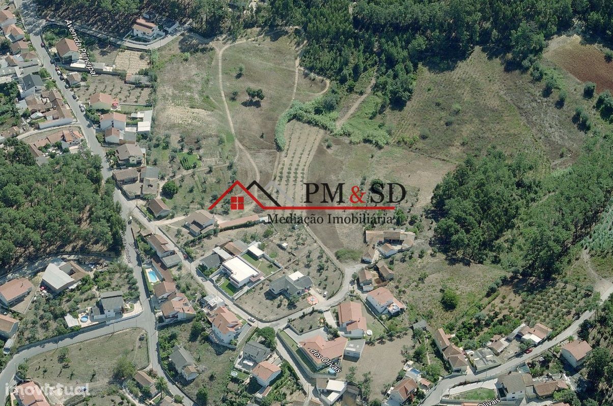 Vende-se terreno com 9890 m2 - Leiria