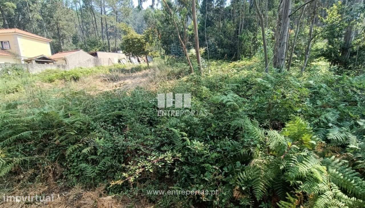 Venda de fantástico terreno para construção, Areosa, Viana do Caste - Grande imagem: 2/28