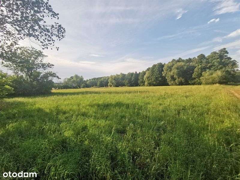 Sprzedam działkę rolną - 48 500 m2 - Pełny obrazek: 5/15