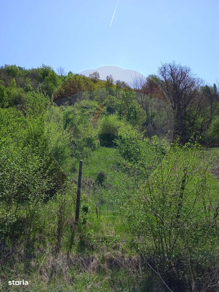 Teren intravilan de vânzare – Hula Baznei, 800 mp - Imagine principală: 5/5