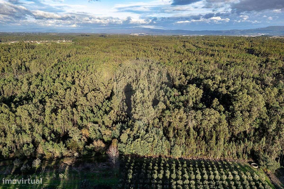 Terreno  para venda - Grande imagem: 3/11