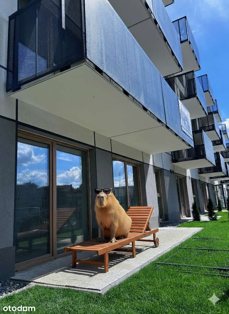 Cena wygląda na stałą ale tylko dopóki nie zadzwonisz. Super oferta!-1