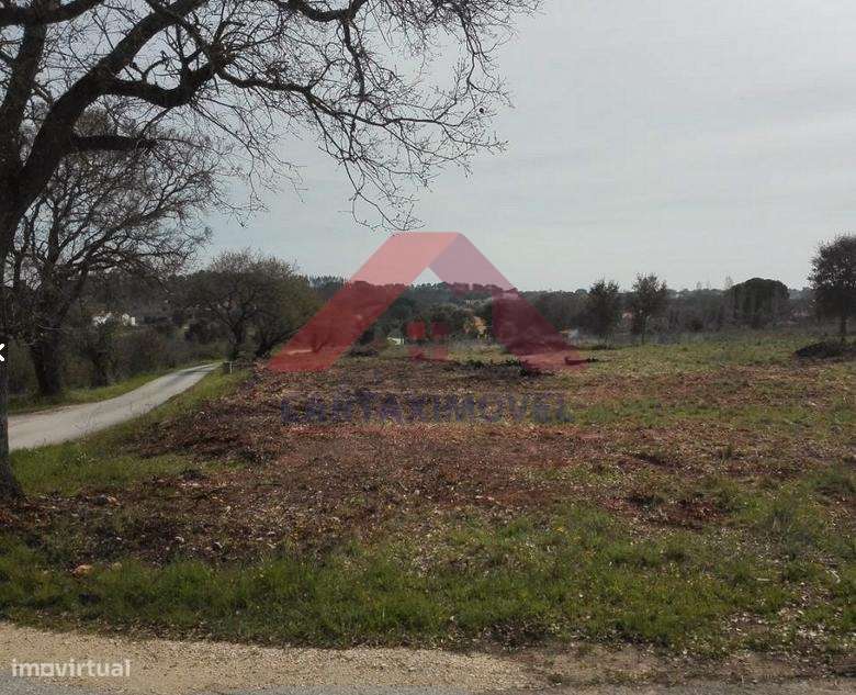Terreno Rústico  Venda em Póvoa da Isenta,Santarém - Grande imagem: 4/4