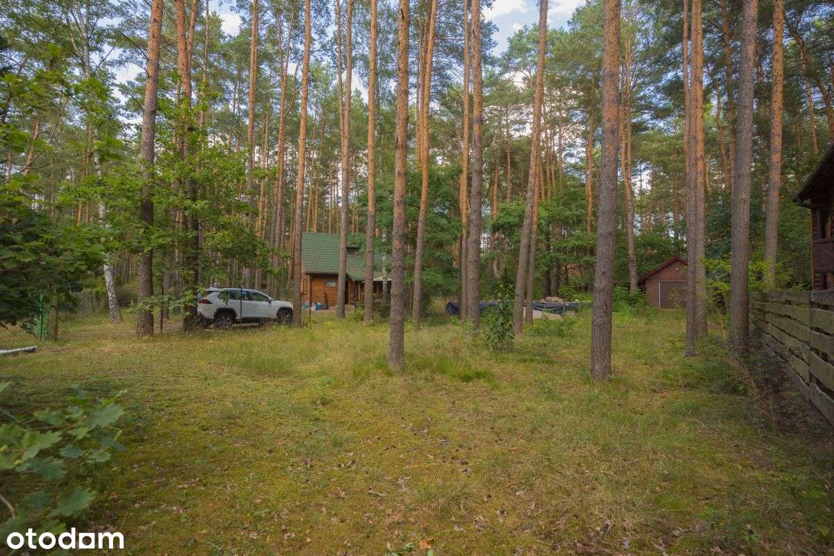 Pilne! Zabudowana działka nad Narwią Poddębie - Pełny obrazek: 5/20