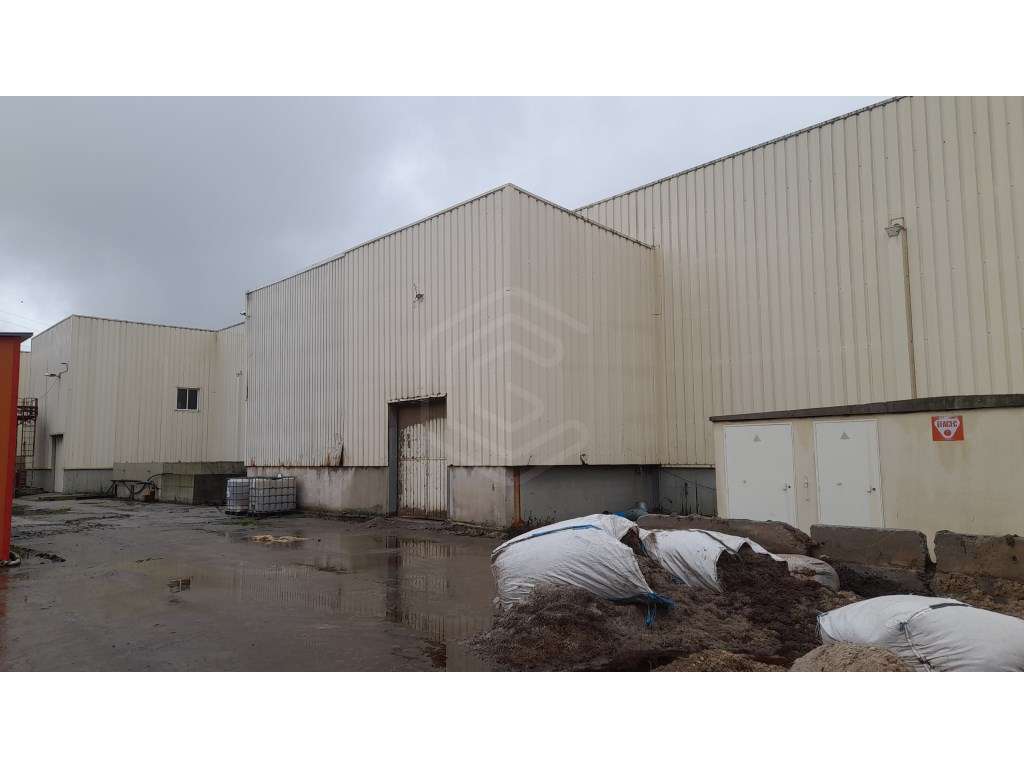 Imóvel Industrial inserido em Terreno de 60.000 m2, na Guarda - Grande imagem: 4/22