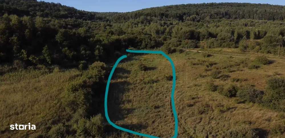 Oportunitate teren 5000 mp+2800 mp Padure Bonus-1