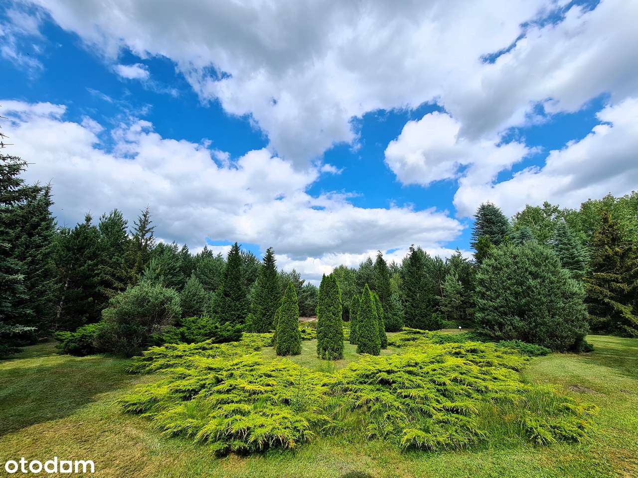 Dom z prywatnym lasem / Agroturystyka/ Fotowoltaika-5