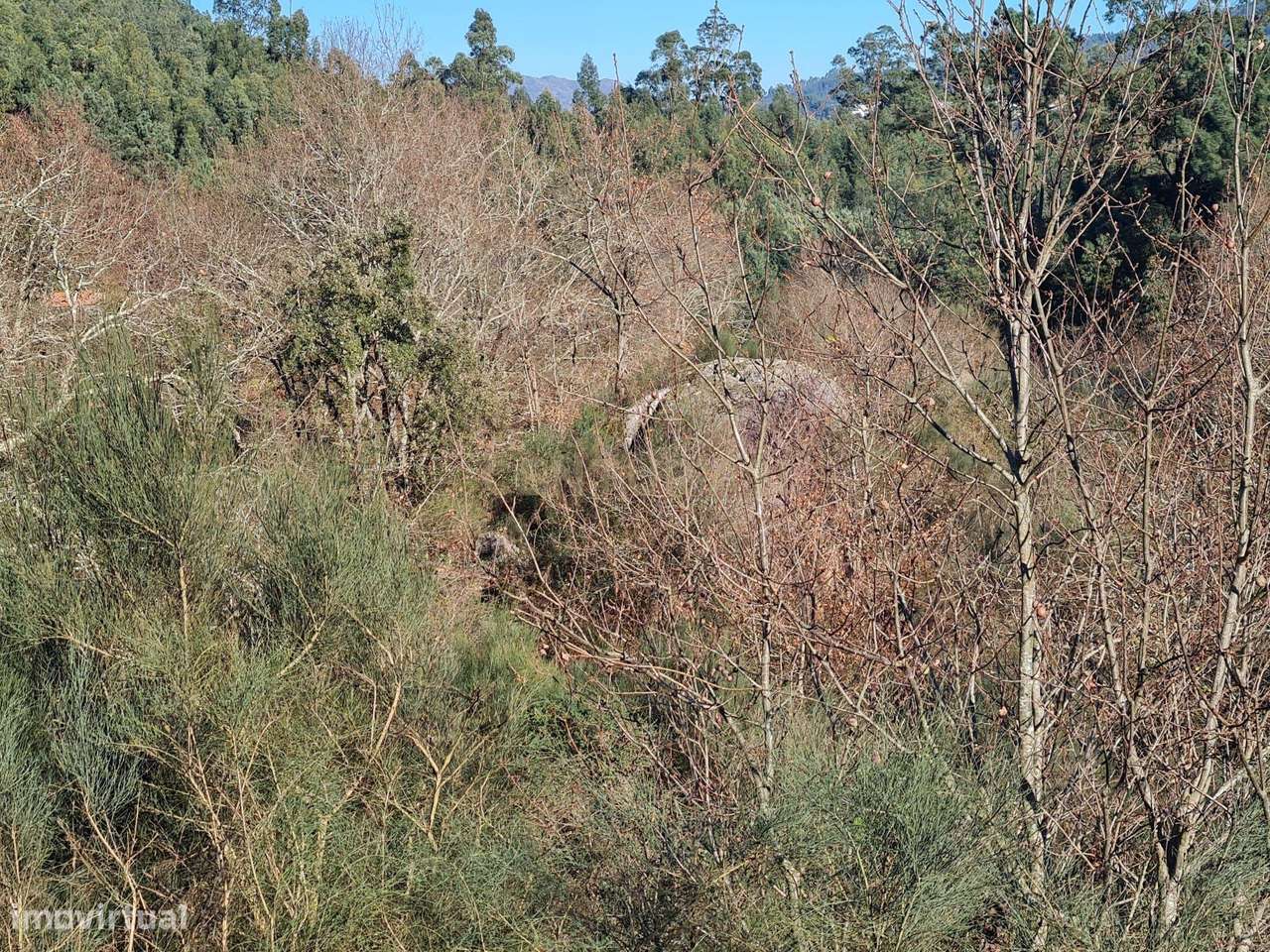 Quinta das Fontainhas, Rio de Moinhos, Penafiel-37