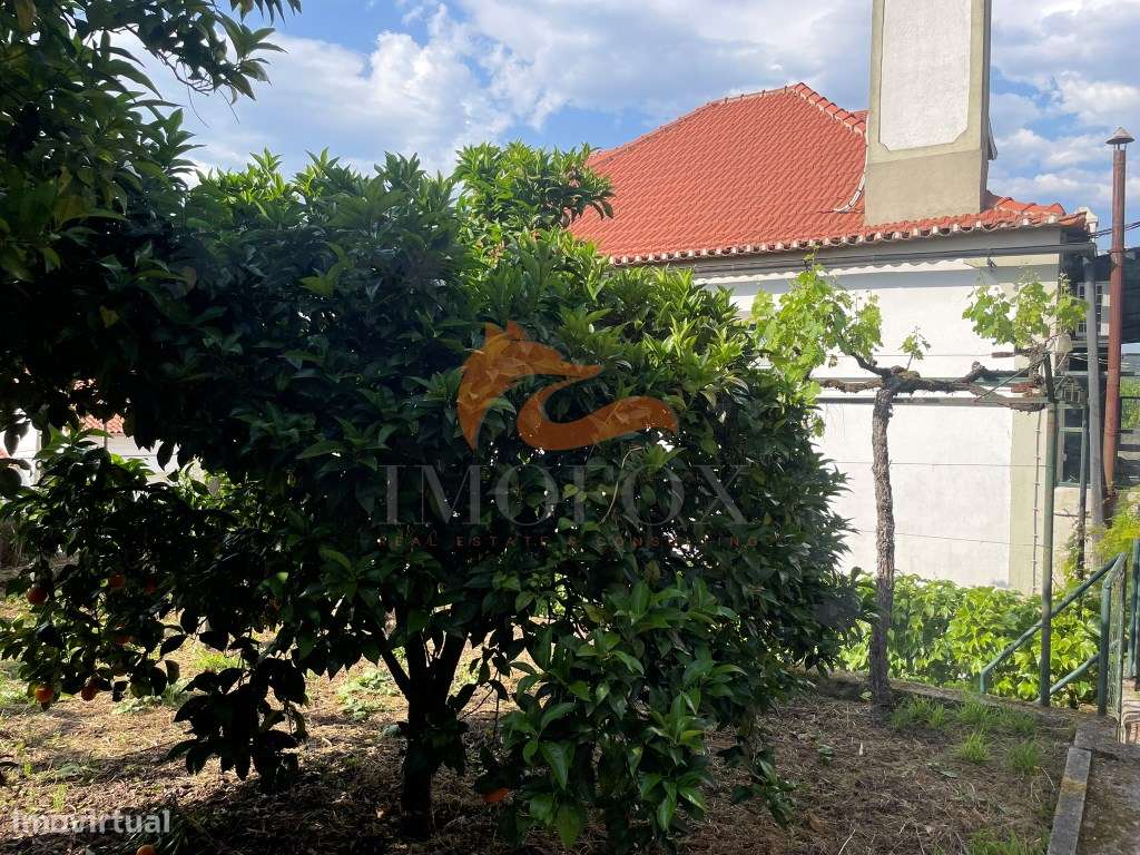 Casa da Montanha - O Refúgio Perfeito em Vila Cova de Alva, Arganil-56