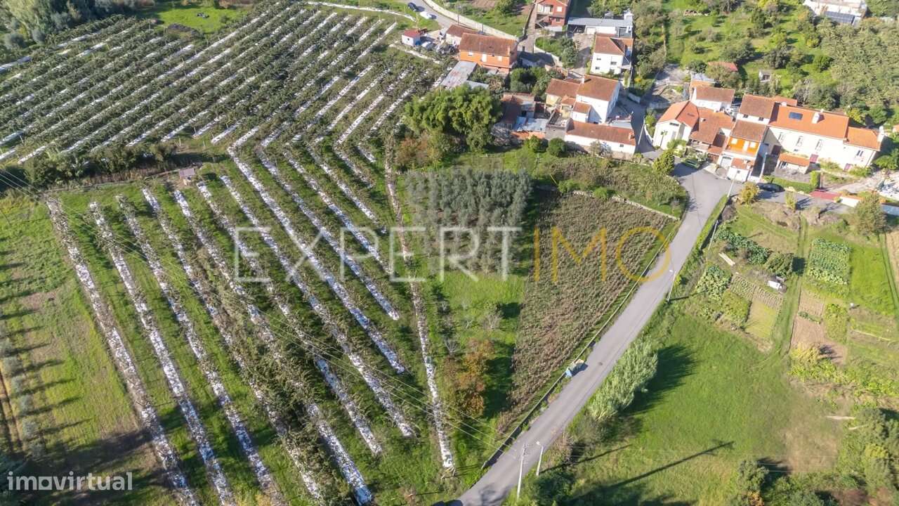 Terreno junto a Ribeiro em Quinta do Colaço (Almalaguês/Coimbra)-8