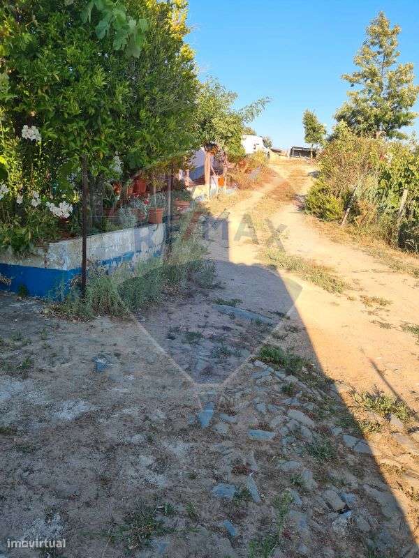 Quinta  para venda - Grande imagem: 5/16