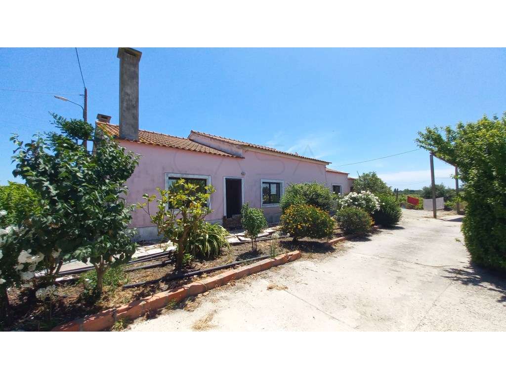 Herdade vinhateira próxima de Setúbal-1