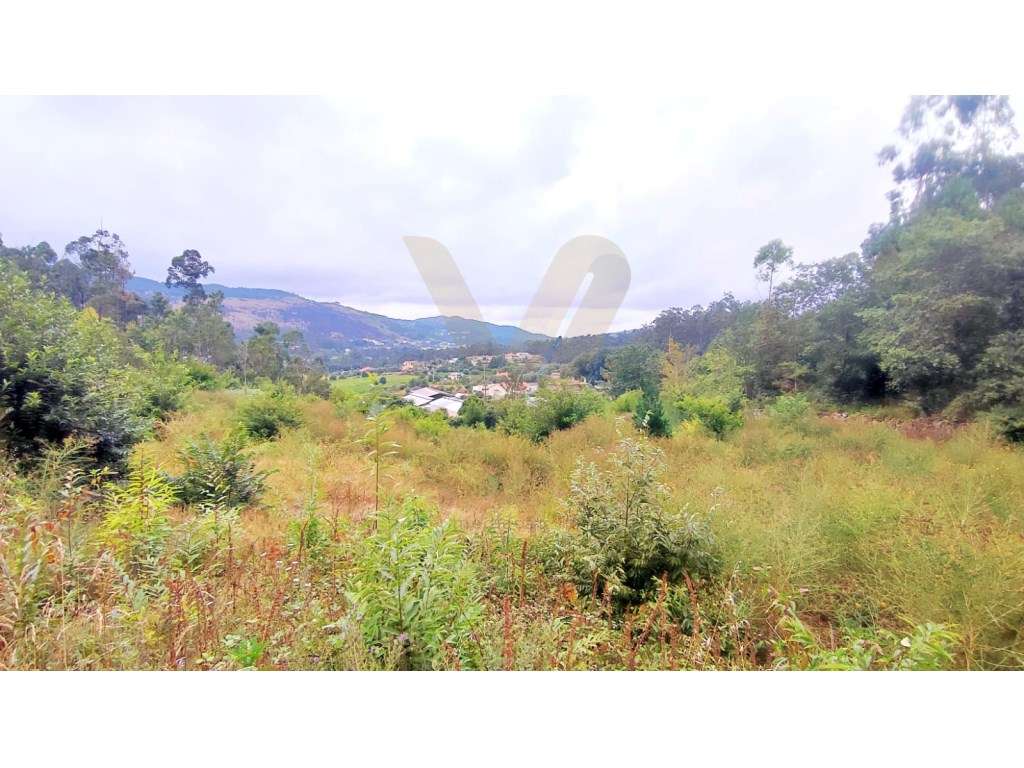 Terreno para construção | Poiares, Ponte de Lima - Grande imagem: 5/5